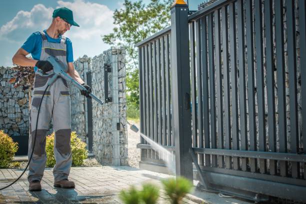 Best Rust Removal  in Lake Sherwood, CA