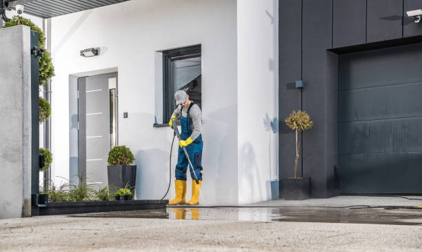 Best Spring Cleaning  in Lake Sherwood, CA